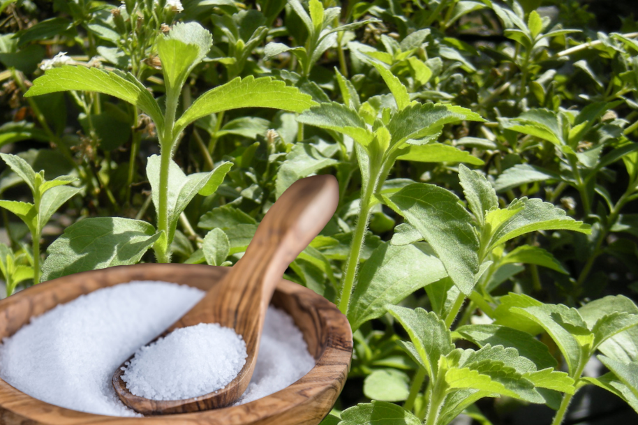 Sweetening Tea with Stevia&nbsp;Leaf