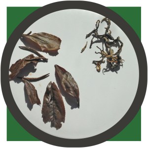 Whole Golden Safari Tea Leaves