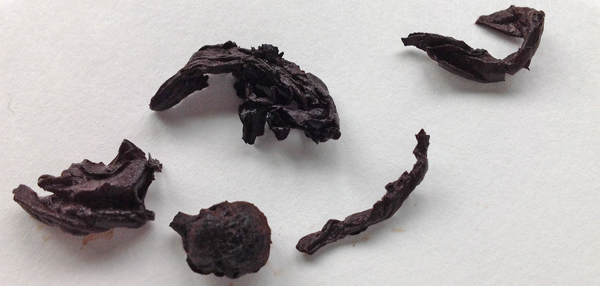 Gold Nugget pu-erh nuggets post-steep