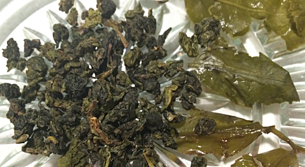 tieguanyin leaves