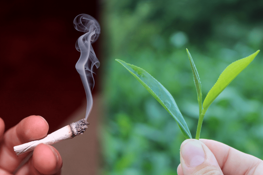 Can you smoke&nbsp;tea?