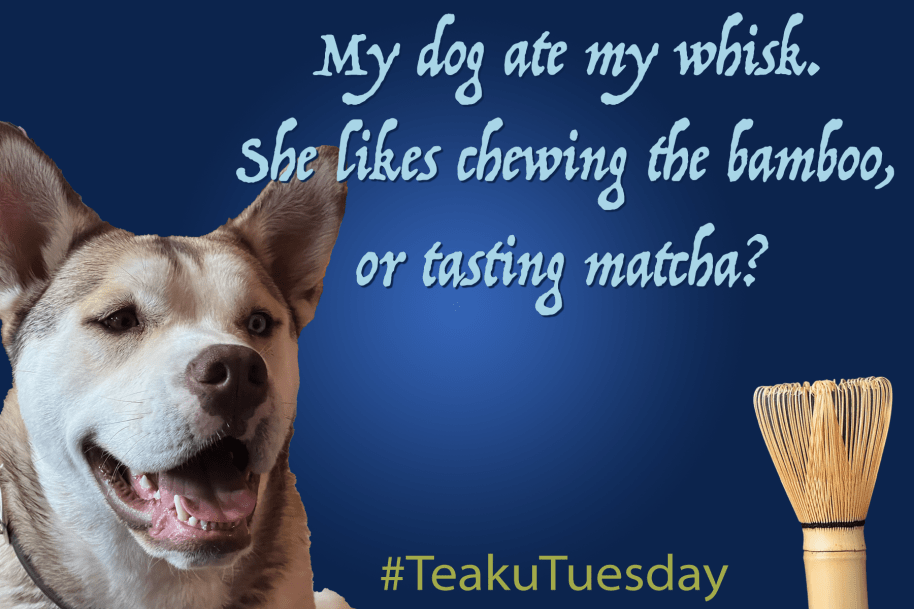 My dog ate my matcha&nbsp;whisk